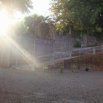 DSC09933