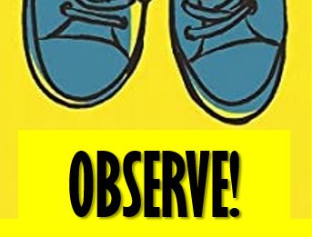 Observe!