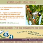 Senhas do dia - 16.09.2021