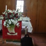 DSC07680 - Cópia