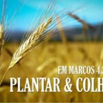Plantar&Colher