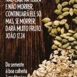 Da semente à boa colheita
