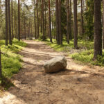 Pedra no caminho
