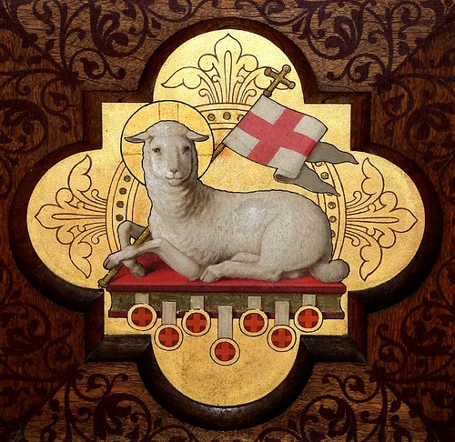 agnusdei