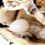 A ostra e a pérola