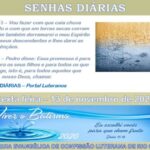 Senhas do dia - 13.11.2020