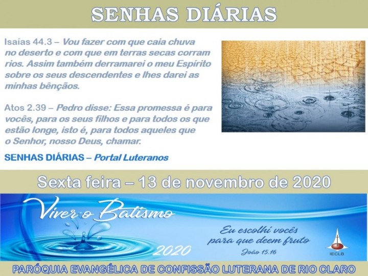 Senhas do dia - 13.11.2020