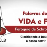 palavras17-01