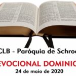 dev dom 24-5