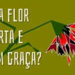 Cravos