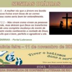 Senhas do dia - 11.11.2021