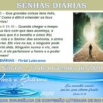 Senhas do dia - 14.11.2020