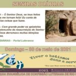 Senhas do dia - 30.05.2021