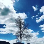 4C4F6599-44D8-47DB-AD48-BF7500C07A6E