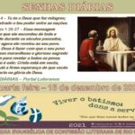 Senhas do dia - 16.12.2020
