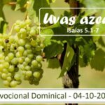 uvasazedas