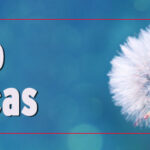 DaiGraças
