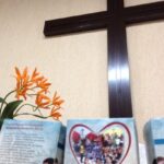 Projeto Missionário Araucária