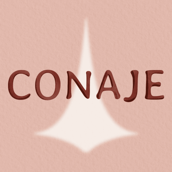 Conselho Nacional da Juventude Evangélica
