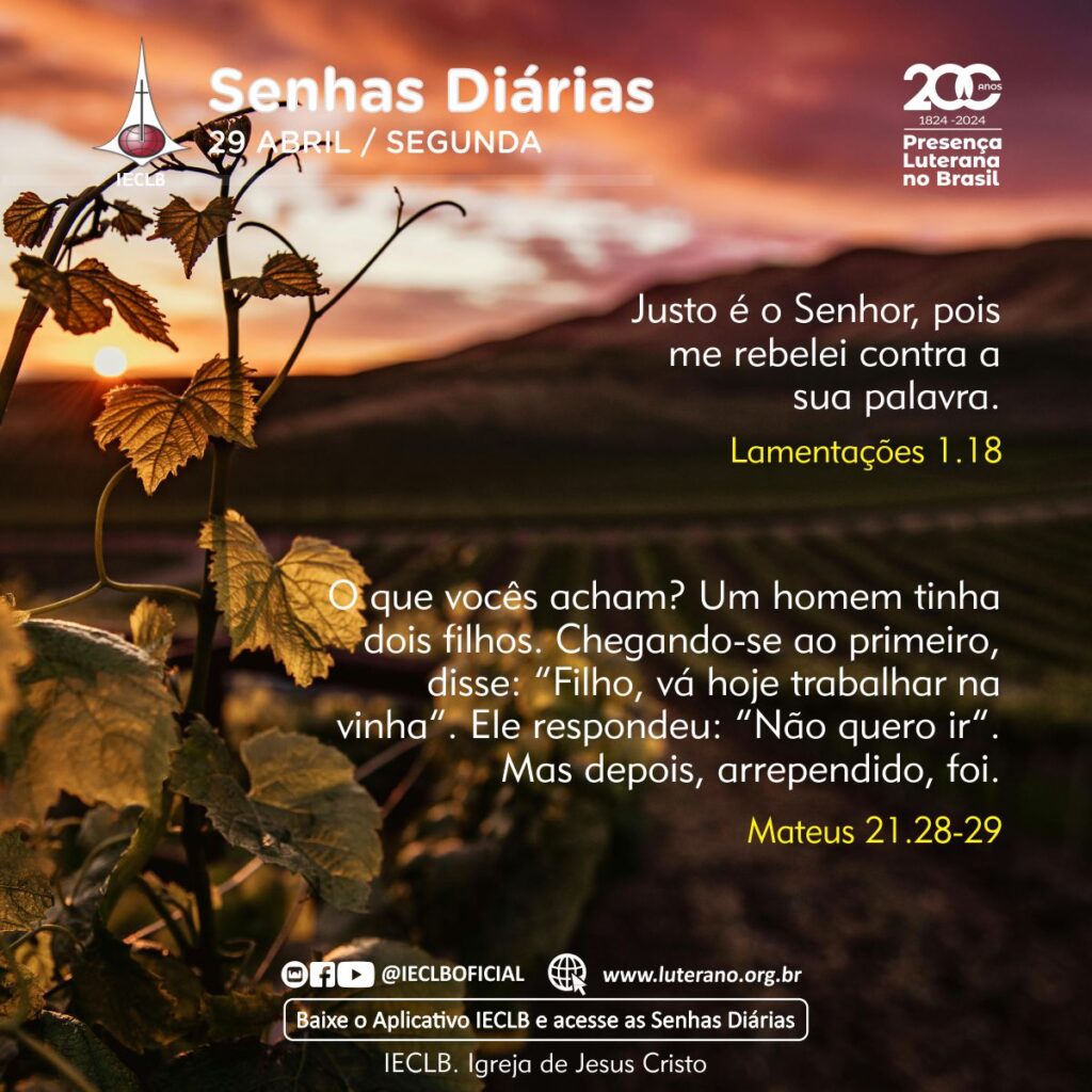 Senhas Diárias 29 04 2024