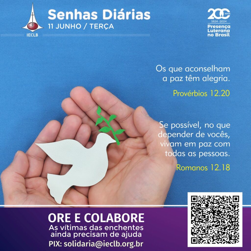 Senhas Diárias 11 06 2024