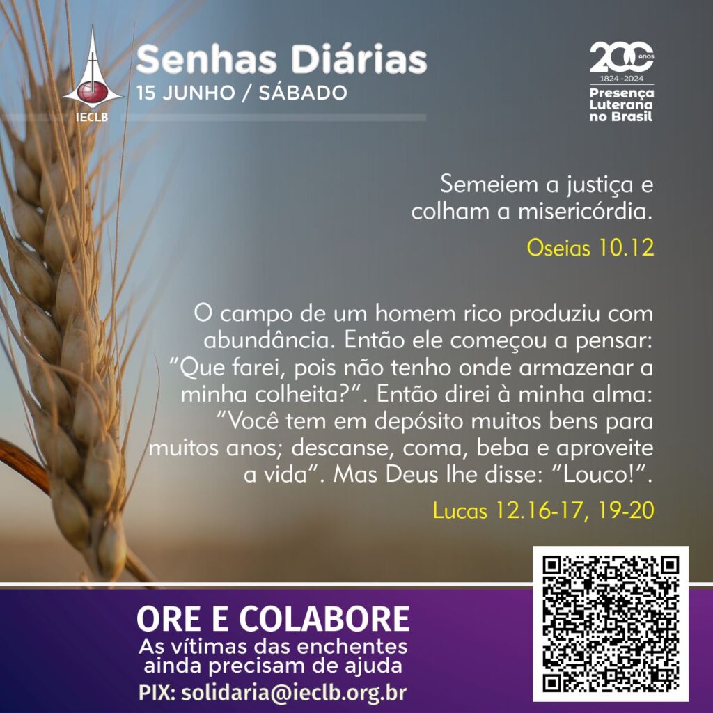 Senhas Diárias 15 06 2024