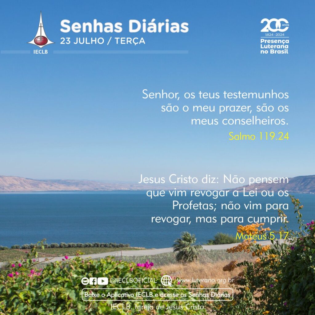 Senhas Diárias 23 07 2024