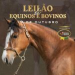20241019-Leilão Cabanha Bela Aliança