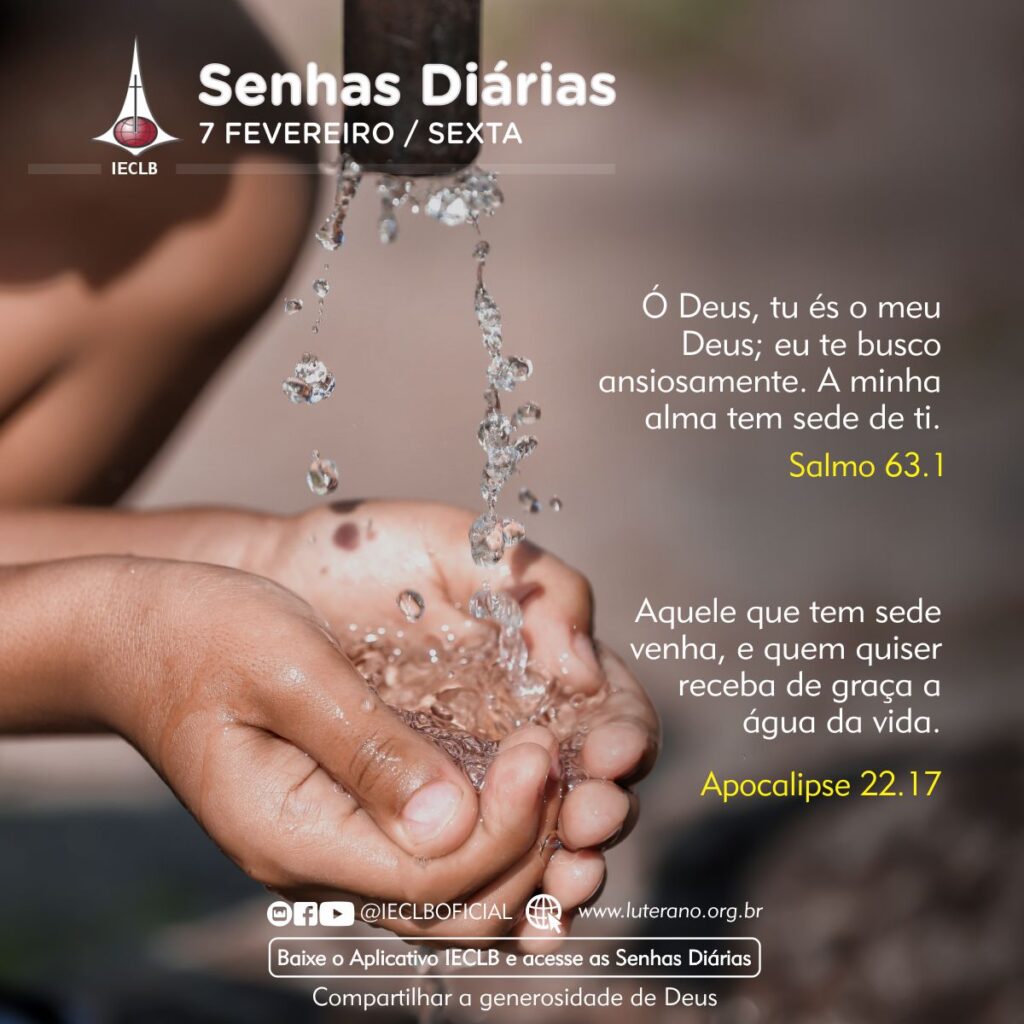 Senhas Diárias 07 02 2025