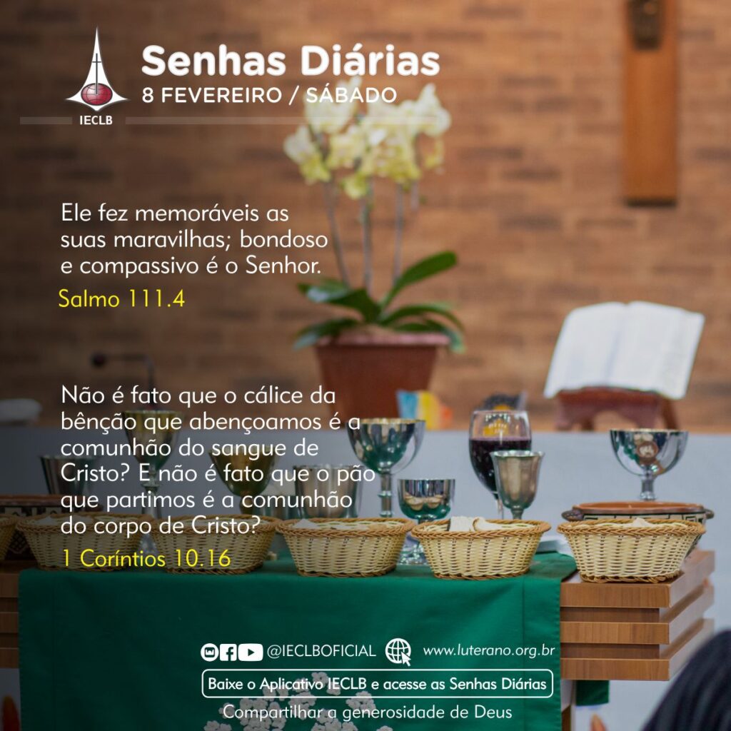 Senhas Diárias 08 02 2025