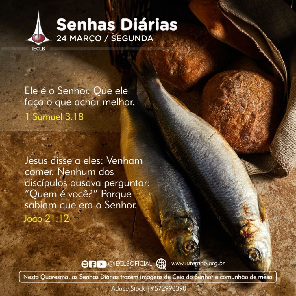 Senhas Diárias 24 03 2025