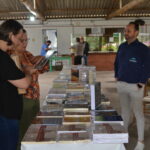 Conferência Ministerial Sinodal