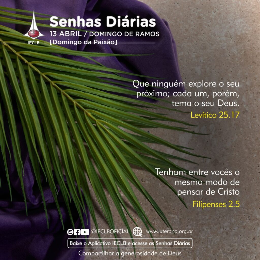 Senhas Diárias 13 04 2025