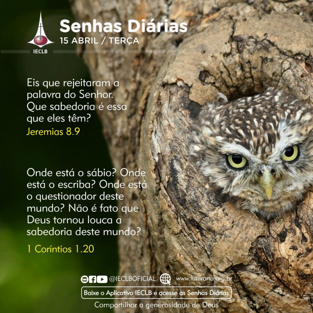 Senhas Diárias 15 04 2025