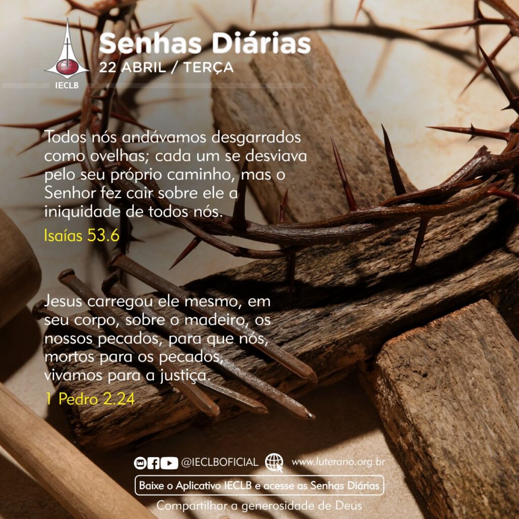 Senhas Diárias 22 04 2025