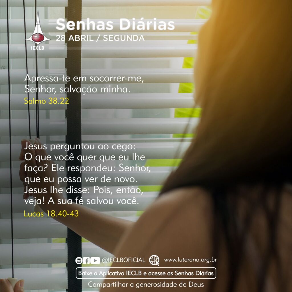 Senhas Diárias 28 04 2025