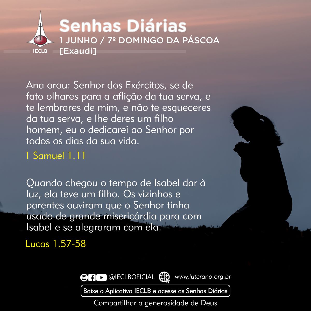 Senhas Diárias 01 06 2025
