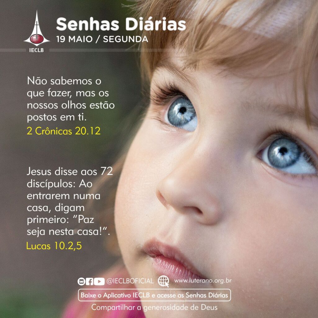 Senhas Diárias 19 05 2025