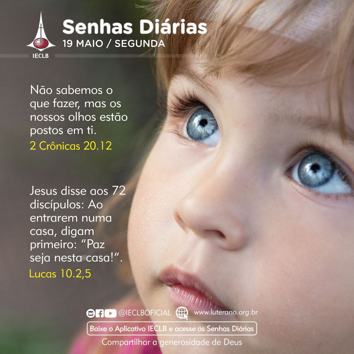 Senhas Diárias 19 05 2025