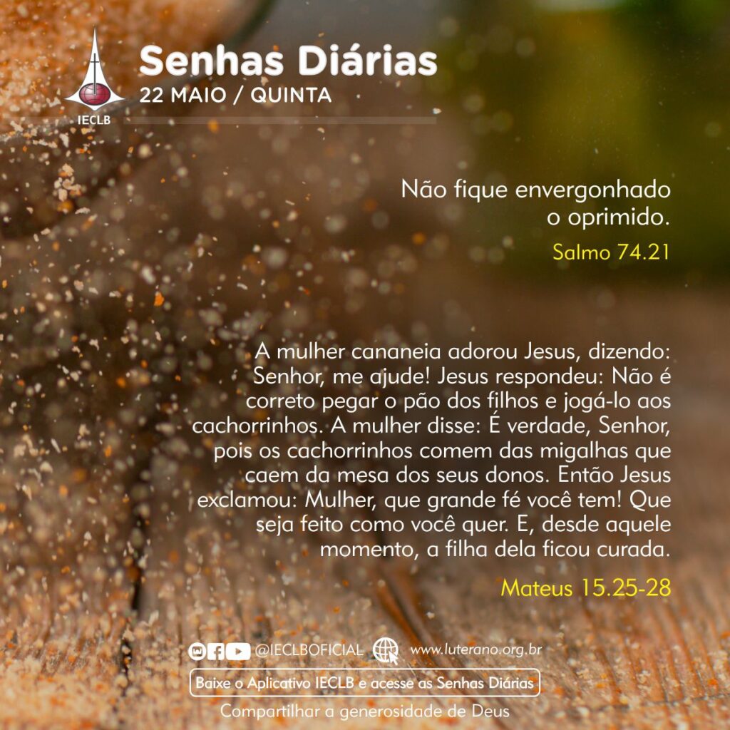 Senhas Diárias 22 05 2025