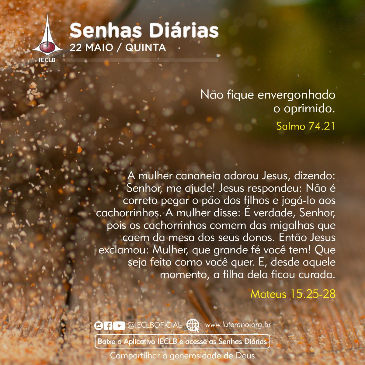 Senhas Diárias 22 05 2025