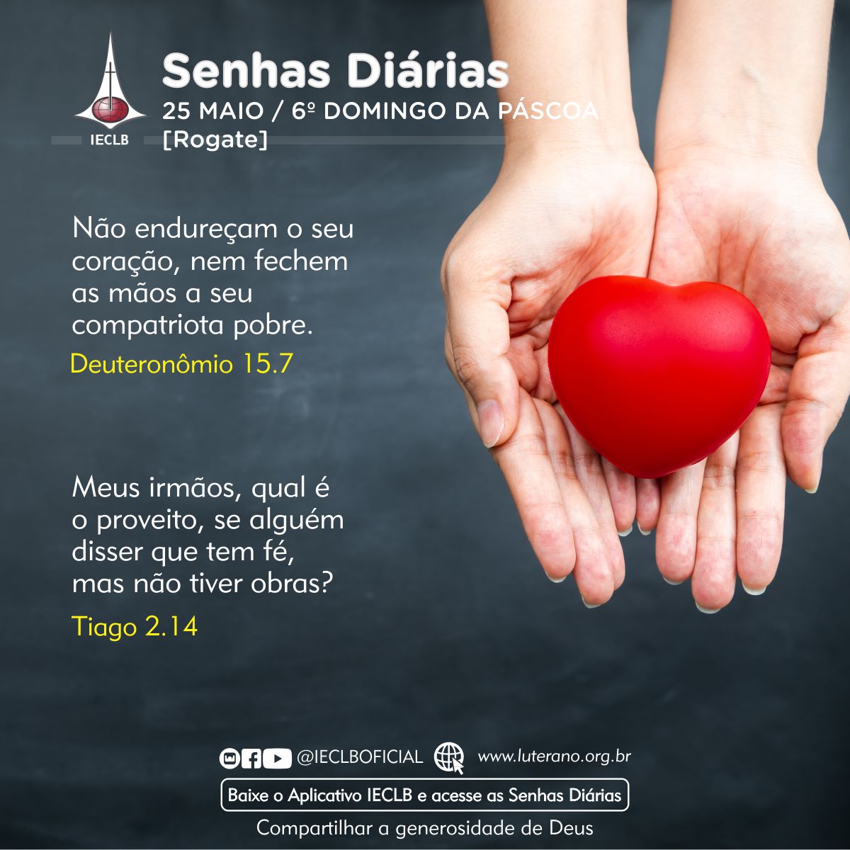 Senhas Diárias 25 05 2025a