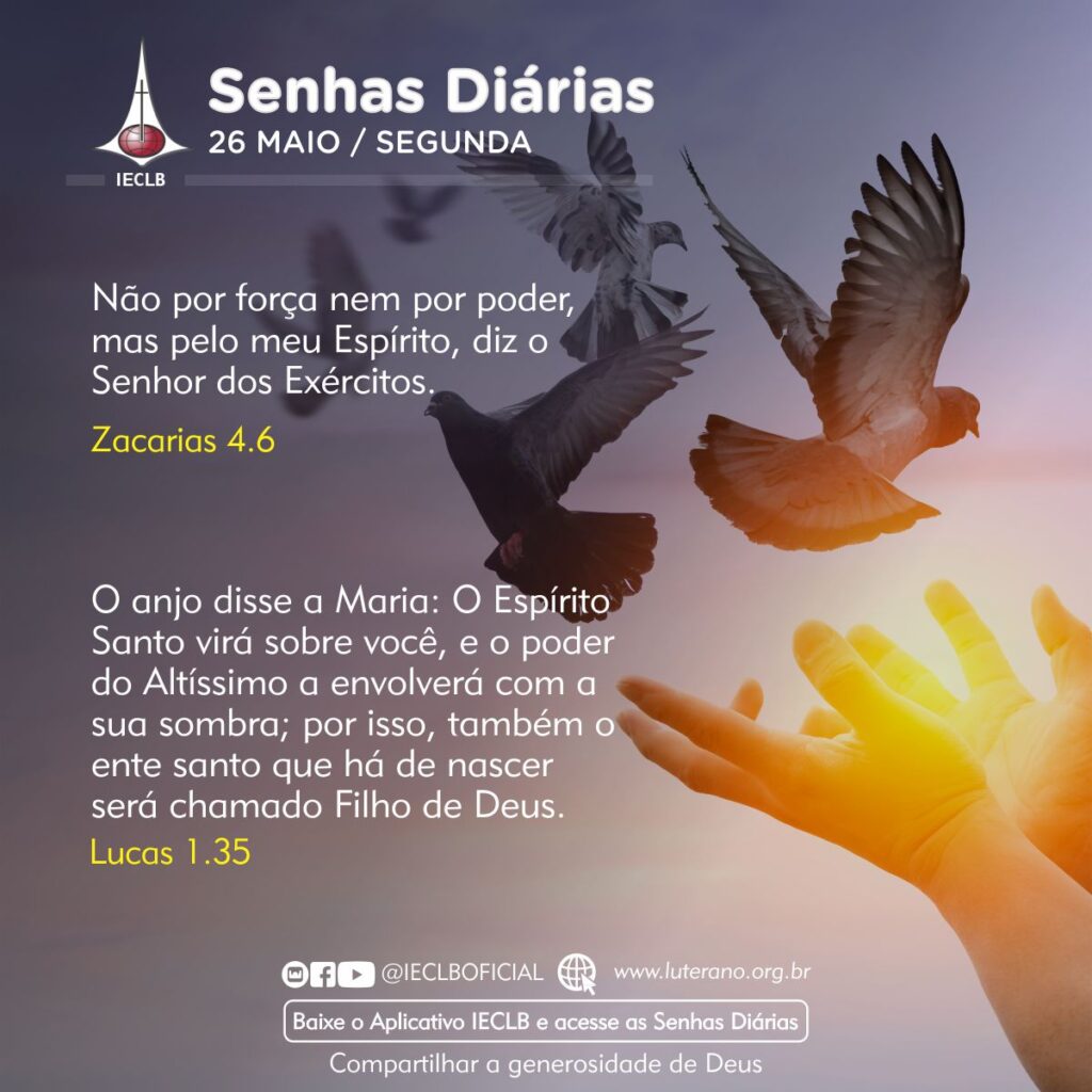 Senhas Diárias 26 05 2025