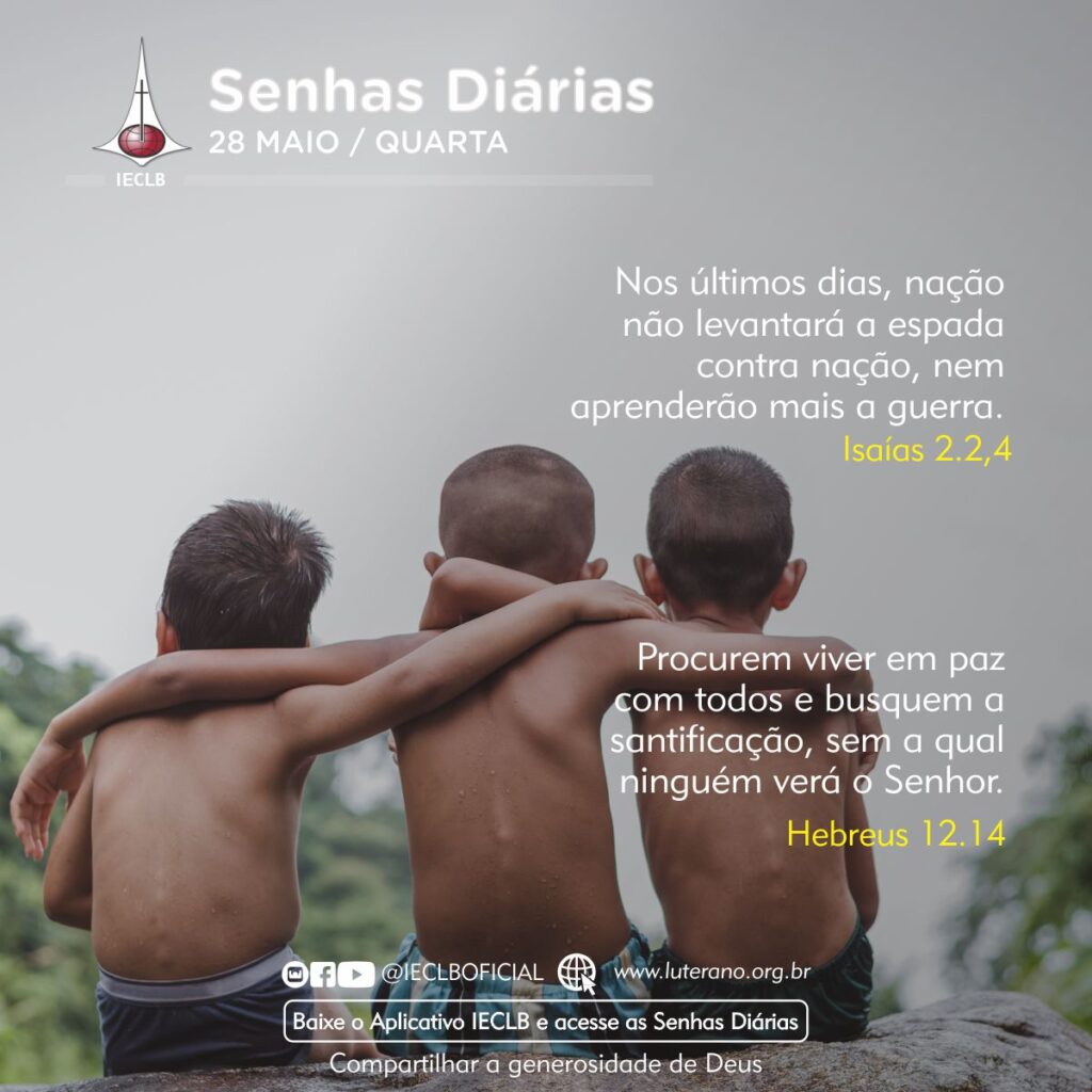Senhas Diárias 28 05 2025