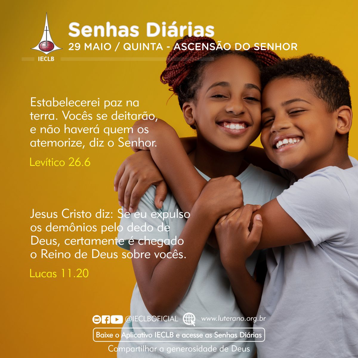 Senhas Diárias 29 05 2025