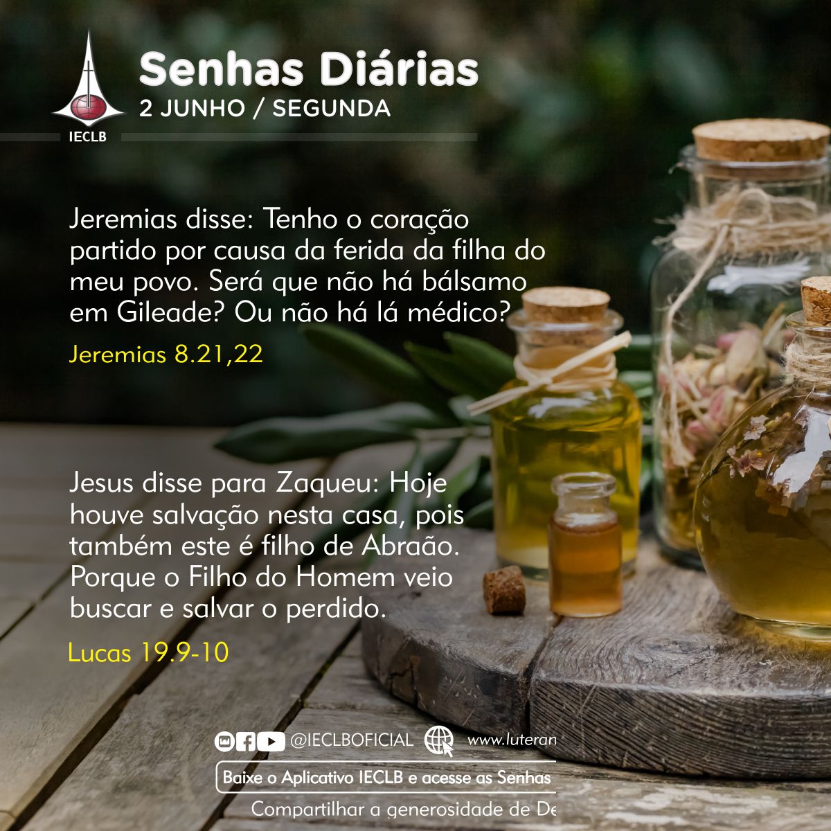 Senhas Diárias 02 06 2025