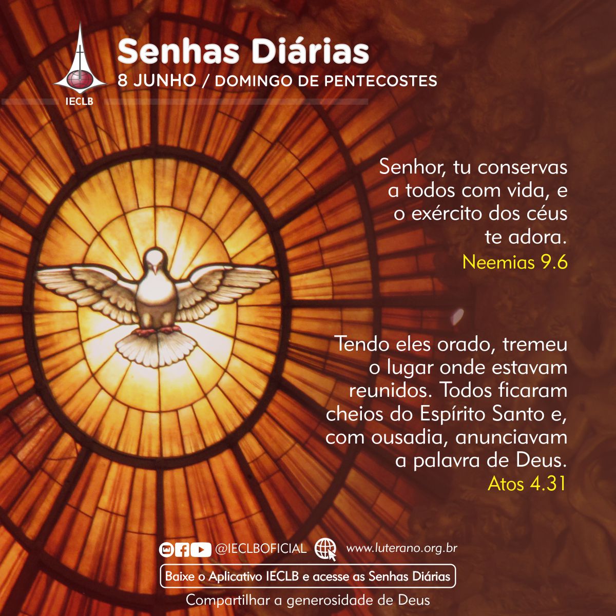 Senhas Diárias 08 06 2025