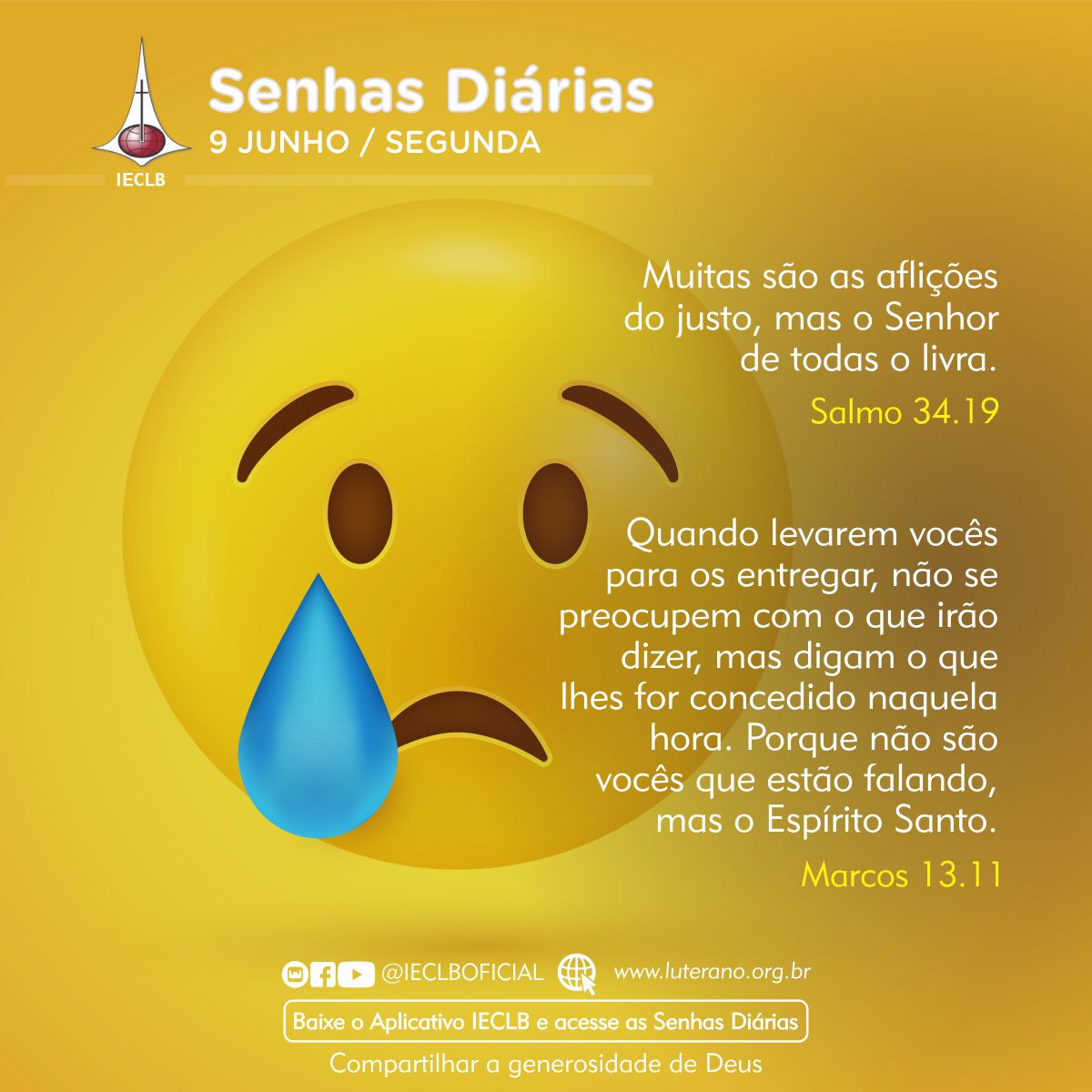 Senhas Diárias 09 06 2025