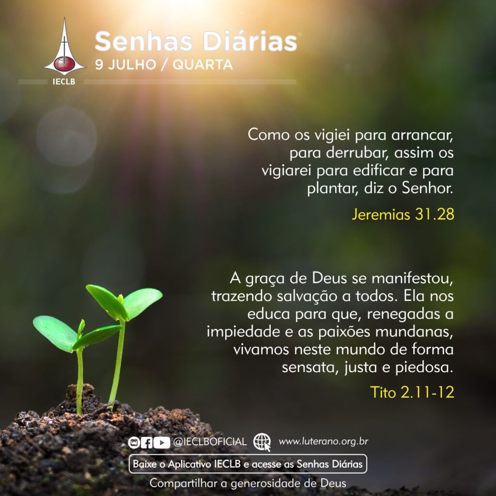 Senhas Diárias 09 07 2025
