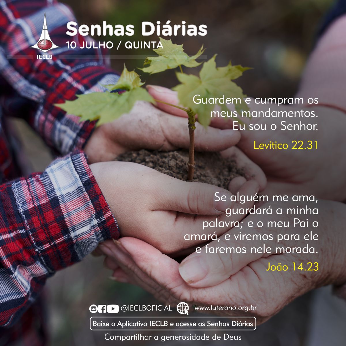 Senhas Diárias 10 07 2025